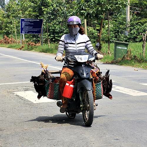 Mekong Cycling - Vietnam Cycling tours at trails