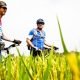 Vietnam cycling