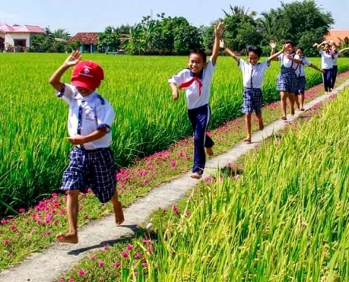 things to do in Vietnam with kids