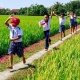 things to do in Vietnam with kids